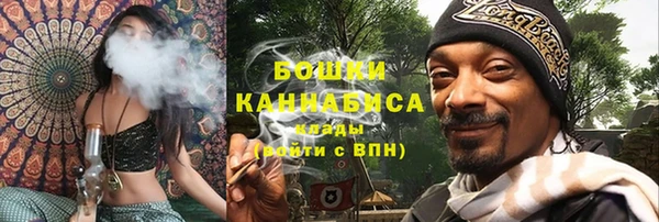 прущие грибы Баксан