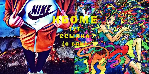 прущие грибы Баксан